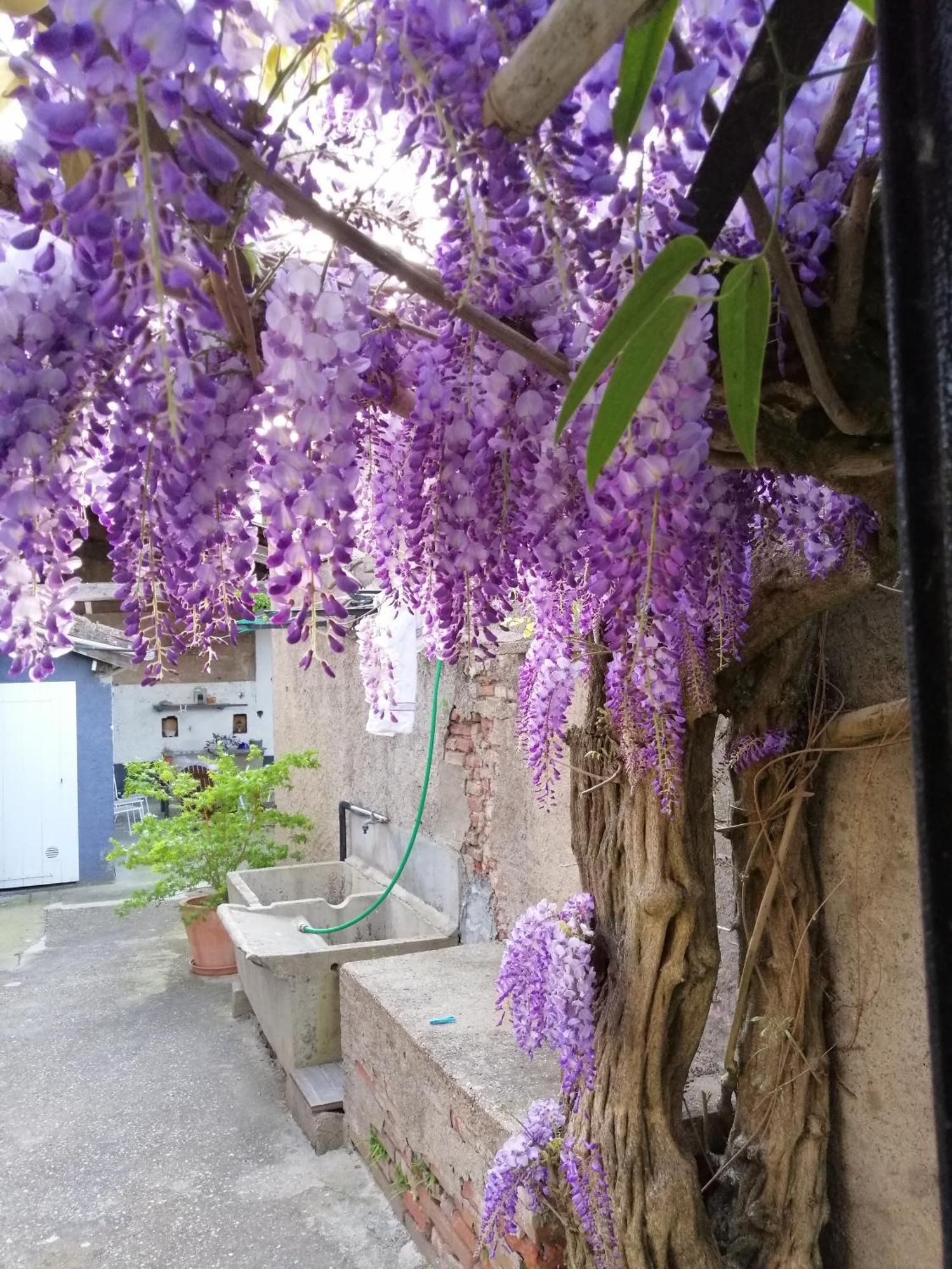 B&B La Maison De Julia Алби Екстериор снимка